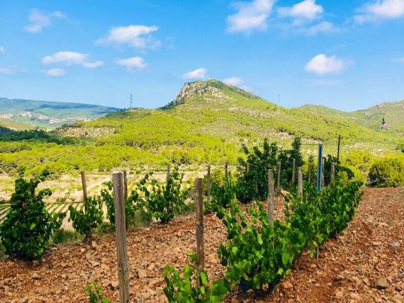 Celler Tanca els Ulls Spanish Winemakers Natural Wine Festival A'dam