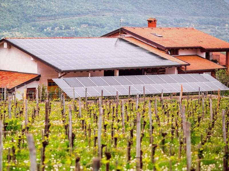 Draga Miklus Italian Winemakers Natural Wine Festival A'dam