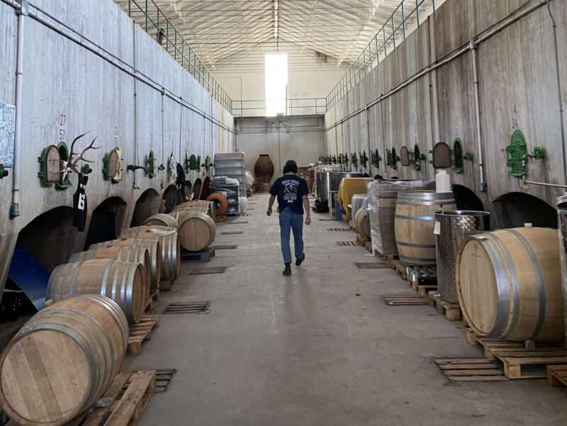 Vinos Irma Spanish Winemakers Natural Wine Festival A'dam