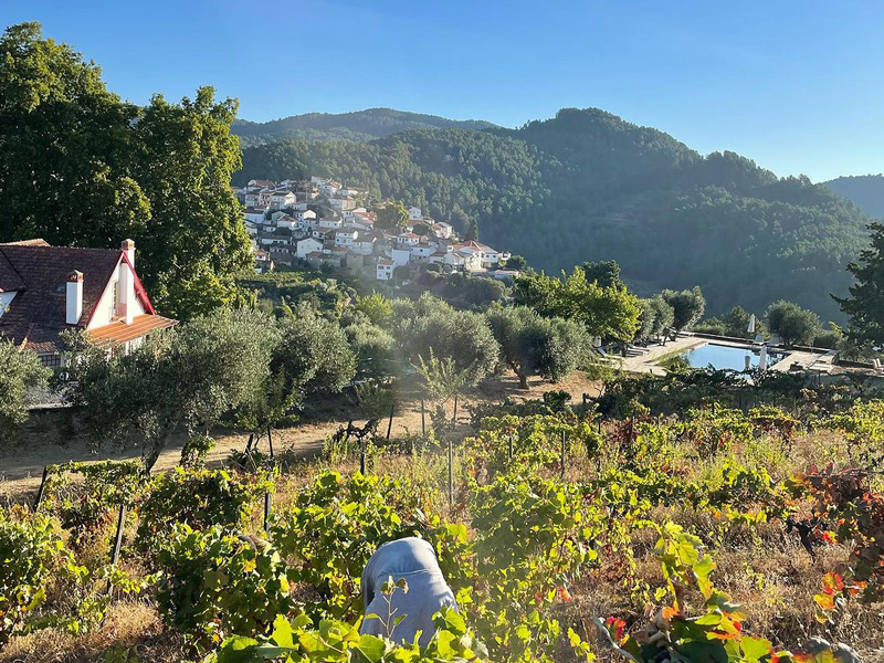 Quinta Vila Rachel Portuguese Winemakers Natural Wine Festival A'dam